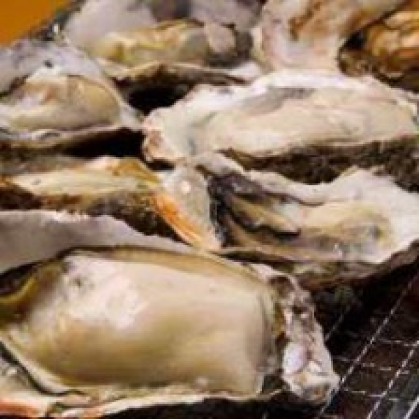 Nakano, Tokyo | Izakaya Shin Nakano Kaki Basara(新中野牡蠣basara)| Seat Reservation Only