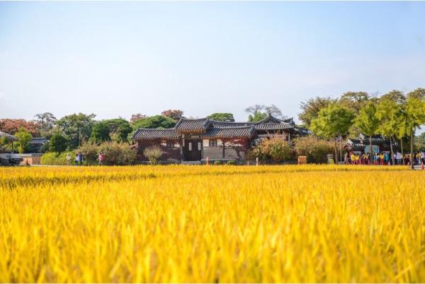 [Thuê riêng] Chuyến tham quan một ngày đến Andong, Kyungsangbuk-do / 'Người tình ánh trăng', 'Bobo Kyungsim Ryeo', 'Myungbulheojeon', 'Mr. Sunshine', địa điểm quay phim truyền hình 'Mr. Sunshine', Làng Andong Hahoe, Dosan Seowon, Buyongdae, v.v. (khởi hành từ Seoul)