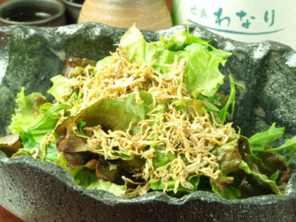 Hiroshima Prefecture Otemachi / Hiroshima City Hall | Seafood Hiroshima Wanari(広島 わなり)| Seat Reservation Only