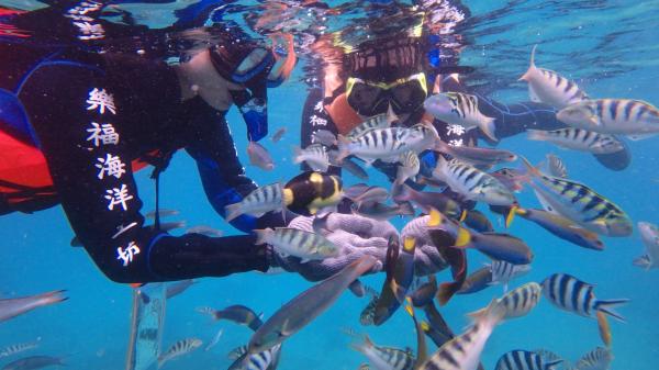 澎湖浮潛|海洋生態體驗|珊瑚海洋花園浮潛|海底郵筒浮潛