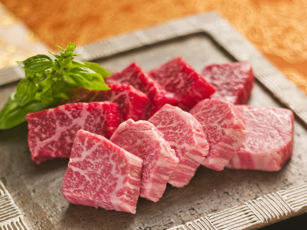 Gifu Prefecture Kaizu, Yoro, Kiso River | Local cuisine Yuki no Sato | Seat Reservation Only