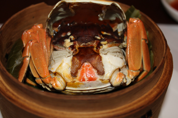 Aichi Prefecture Sakae/Yabacho | Izakaya Meisai En(茗菜縁) En| Seat Reservation Only