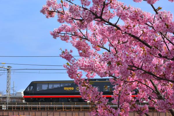 Izukyu Rail Pass 1-DAY / 2-DAY / 3-DAY | Instant Confirmation | Izu, Japan