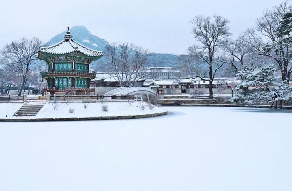 Professional tour guide service | Seoul urban historical and cultural attractions guide service & one-day tour + guide service