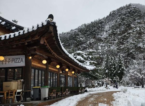 Seoraksan Private Private charter car One-Day Tour | Seoraksan + Sokcho Traditional Market | Departing from Seoul