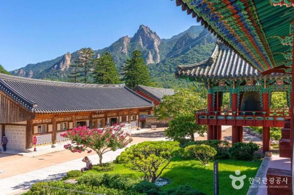 Seoraksan Private Private charter car One-Day Tour | Seoraksan + Sokcho Traditional Market | Departing from Seoul