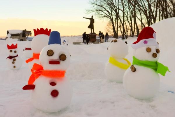 Sapporo Afternoon Tour / Winter Mt Okura and Hitsujigaoka Observation Hill Tour