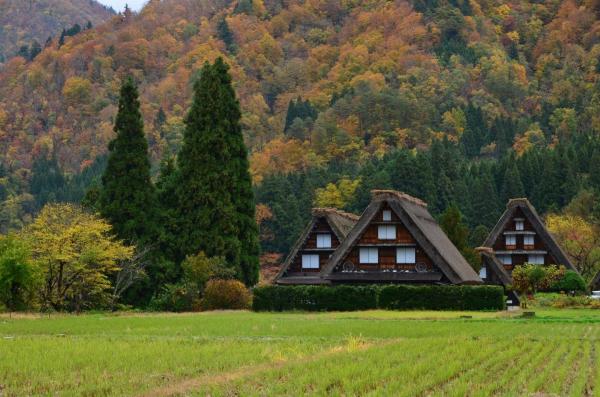 日本|白川乡合掌村交通必备|高山浓飞巴士车票|往返平汤温泉・朴木平・新穂高缆车