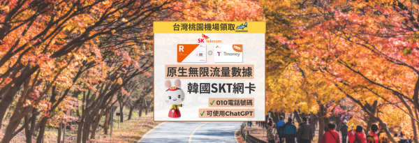 【20% OFF|贈送大創優惠券】韓國網卡 | SKT原生無限4G LTE數據+可通話SIM卡 x WOWPASS 或 T-Money | 桃園機場領取