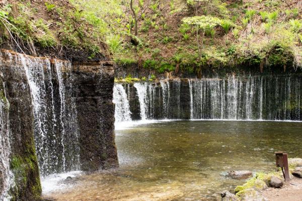 白糸の滝 1日フリー乗車券 軽井沢の人気スポットを巡る(長野県 軽井沢町)