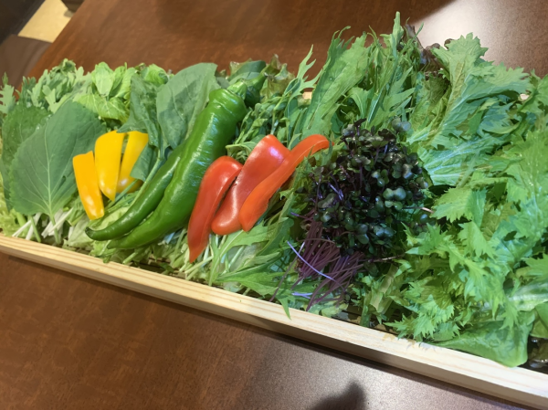 Chofu, Tokyo | Izakaya Korean Kitchen Kanfu Bou(KOREAN KITCHEN 韓風房)| Seat Reservation Only