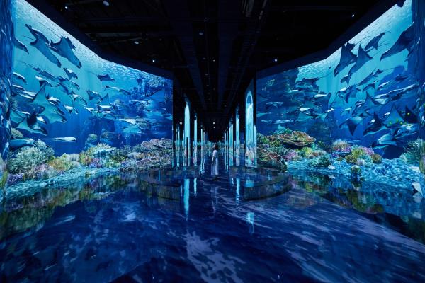 บัตรเข้าชมพิพิธภัณฑ์ HEI: นิทรรศการศิลปะสื่อแบบดื่มด่ํา | พาจู ประเทศเกาหลี