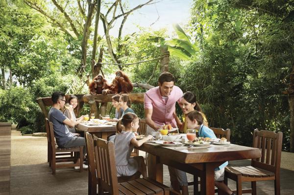 シンガポール動物園 動物たちとの朝食体験・トラム乗車 ・ショー鑑賞 午前半日 日本語ツアー (リバーワンダー 付きプランあり) by パンダバス
