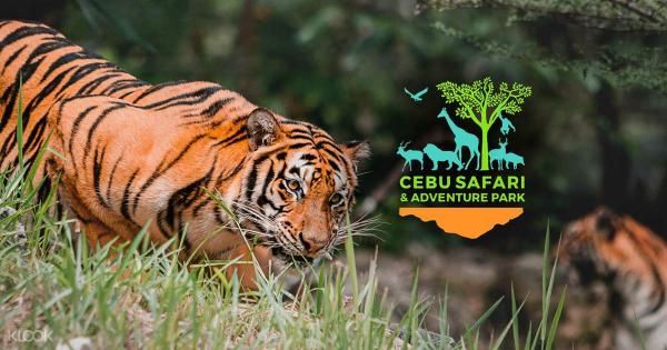 菲律賓|包車一日遊: 宿霧野生動物園 Cebu Safari and Adventure Park