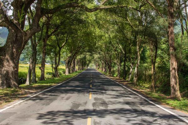 【Hualien-Taitung One-Day Private Charter Car】Hualien-Taitung Coast + Rift Valley Classic Route | One-Day In-Depth Chartered Private charter car(Departure from Hualien and Taitung)