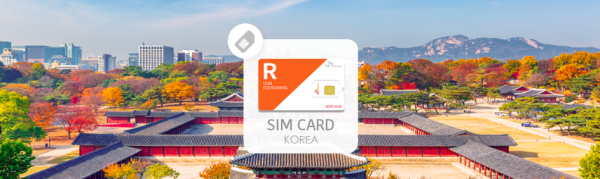 SK Telecom:4G/LTE 無限數據網卡 + 電話接聽&短訊(機場領取) | 韓國