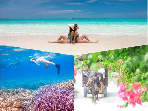 Departing from Ishigaki Island | Landing on the Phantom Island & Snorkeling + Sightseeing on Taketomi Island (Includes Southern Hotel Pickup & Free Photo Data)