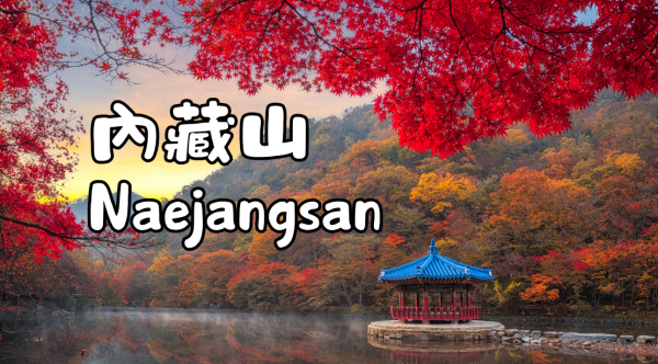 (from Seoul/Busan) | Naejangsan Mountain 1-Day Autumn Leaves Tour