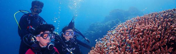 台灣墾丁|體驗潛水一對一 贈水下攝影|台灣潛水 Discover Scuba Diving