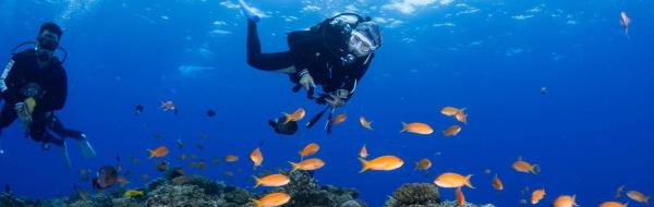 台灣墾丁|旅遊潛水 需有潛水員證照|台灣潛水Fun Dive