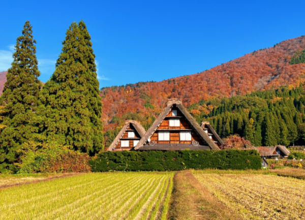 日本升龍道多日遊|名古屋上下車・北陸秘境2至5日包車行程