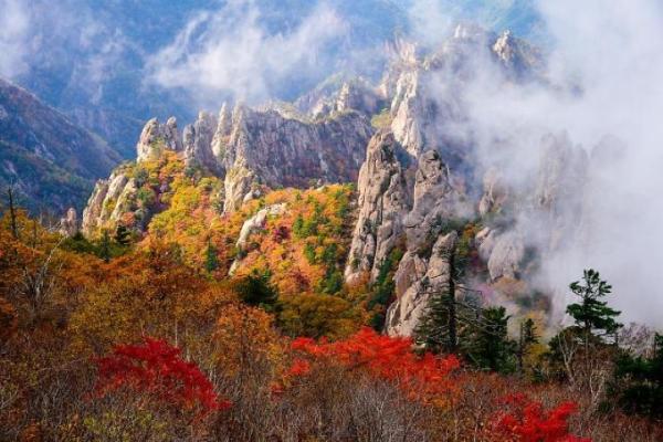Mt.Seoraksan & Naksan Temple Day Trip from Seoul