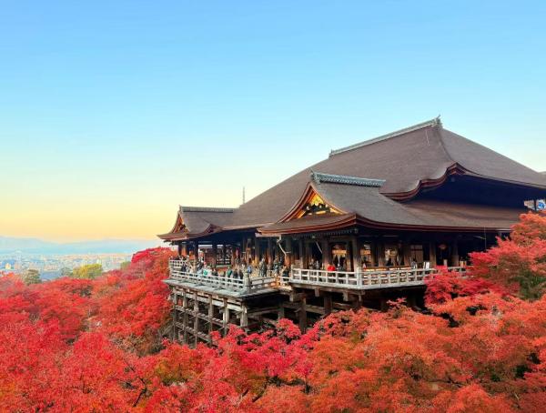 日本|大阪市區・京都・奈良・和歌山・白濱・天橋立・名古屋等|關西地區10小時包車一日遊