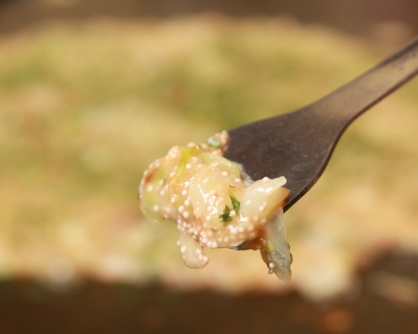 Tsukishima/Kachidoki, Tokyo | Okonomiyaki Oshio (Oshio Japanese Branch) | Seat Reservation Only