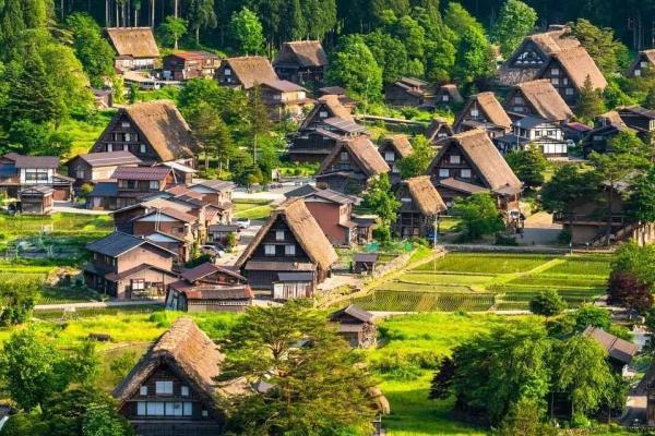 Gifu, Japan | Shirakawa-go Gassho-zukuri Village, Hida Takayama, and Gunjo Hachiman Castle Town Day Trip