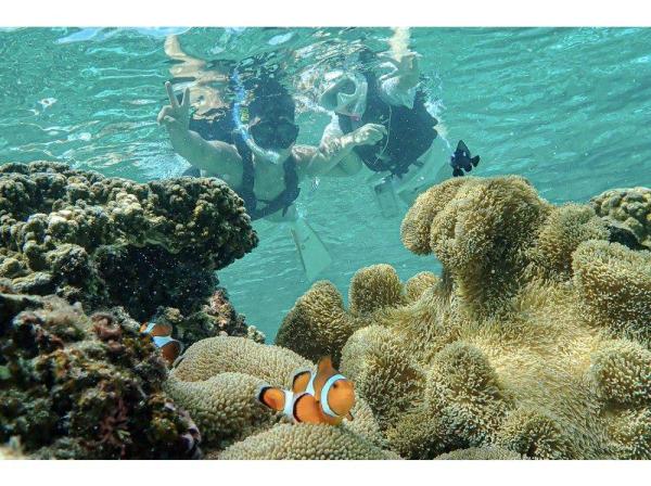 【沖縄・宮古島】透明度抜群!サンゴが広がるビーチでシュノーケリング〜ウミガメやニモにも会える!撮影データプレゼント(初心者・当日予約OK)