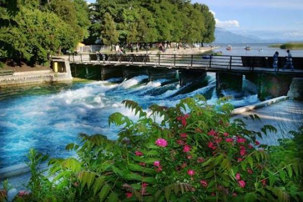 Video poster
