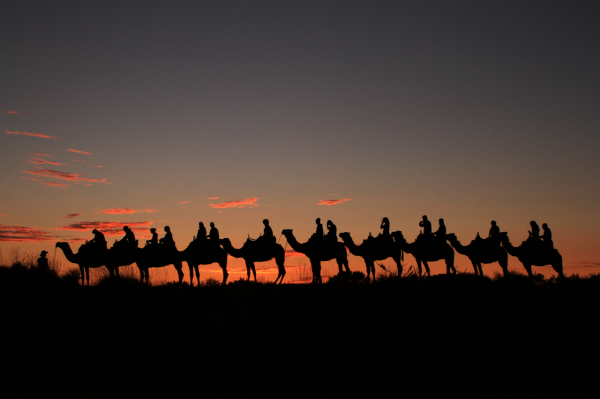 [Eco Tour] Uluru Camel Riding Tour | Northern Territory