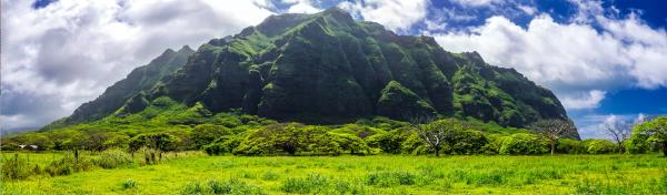 夏威夷歐胡島 | 古蘭尼牧場套裝體驗 | Kualoa Ranch Best of Kualoa Experience Package