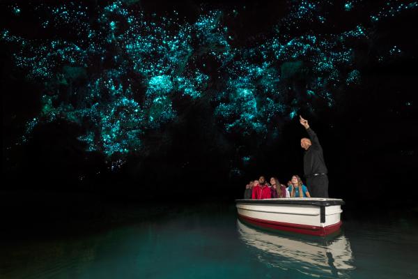 【紐西蘭】懷托摩(Waitomo)藍光螢火蟲洞導覽