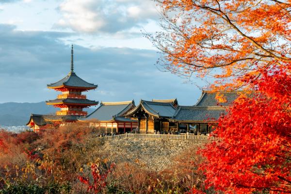 Japan Osaka/Kyoto/Miyama/Amanohashidate/Uji Private Day Tour