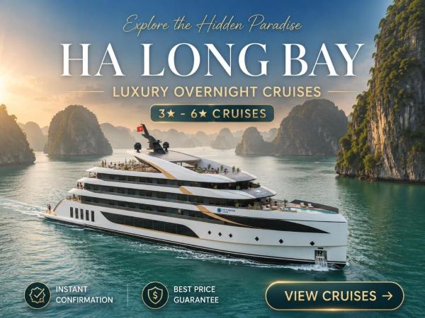 Ha Long Bay 2 Days 1 Night Cruises | 3 to 6 Stars with Cave Exploration, Island Visits & Full Meals
