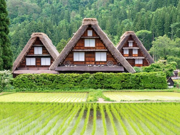 Nagoya One-Day Tour|Shirakawa-go Gassho Village & Historic Streets of Hida Takayama