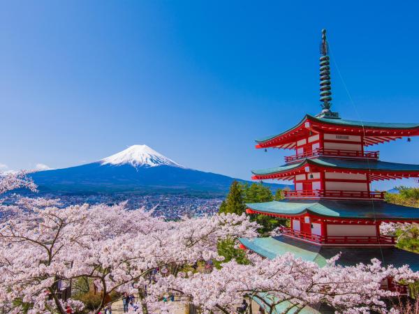 【1名様からツアー催行】富士山と河口湖の絶景日帰りツアー|新倉山浅間公園、河口湖クラフトパーク、大石公園、西湖ヒーリングビレッジ根場|A5プレミアム黒毛和牛「神戸ビーフ」へのアップグレード
