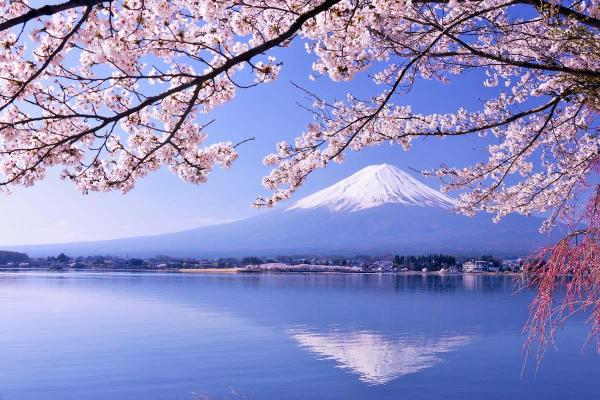 プライベート貸切チャーター車で行く富士山日帰り旅行|東京発、専属ドライバー送迎、柔軟でカスタマイズ可能な旅程