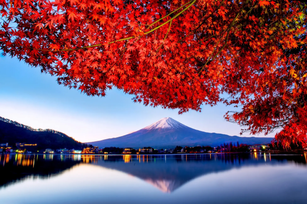 Mount Fuji Day Trip by Private Private Charter Car| Depart from Tokyo, Dedicated Driver Transfer, Flexible and Customizable Itinerary