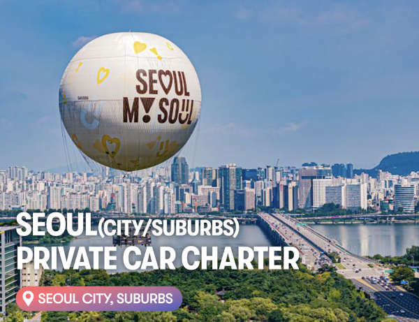 Seoul and Suburbs Private Car Charter