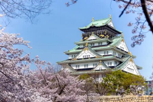 【日本 大阪包车一日游】大阪市区・京都・奈良・神户・天桥立・船屋・琵琶湖・淡路岛・白滨・和歌山等地区定制包车服务|大阪出发