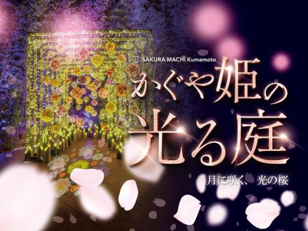 かぐや姫の光る庭 月に咲く、光の桜 入場チケット(熊本県・イルミネーション)