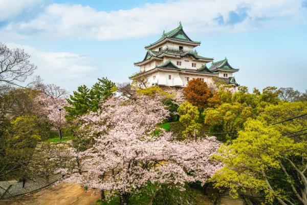 Thuê xe riêng trọn gói riêng Wakayama | Khởi hành từ Osaka/Kyoto | Lịch trình tùy chỉnh 10 giờ - Ga Kishi (Trưởng ga Tamako) - Tự do lựa chọn các điểm tham quan nổi tiếng