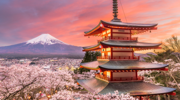 Kansai, Japan | Optional 10-hour private charter car tour for seniors and parents, departing from Osaka or Kyoto.