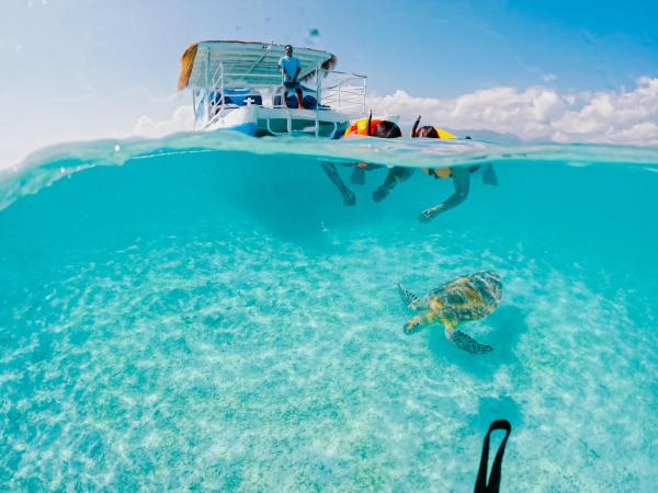 Gili Islands Turtle Snorkeling BBQ Cruise from Gili Trawangan