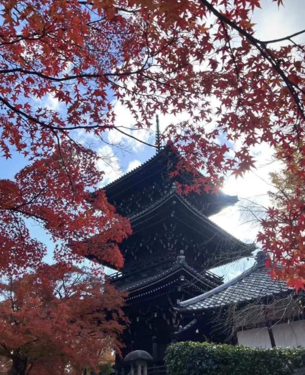 尊貴定制-無憂出行【大阪-京都-奈良包車一日遊】奈良萌鹿、東大寺、嵐山、伏見稻荷大社、金閣寺、奈良公園|關西和風古韻私人團專署|悠游古都|盡覽經典