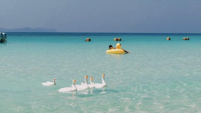 Pattaya island tour European Beach experience Relax Package