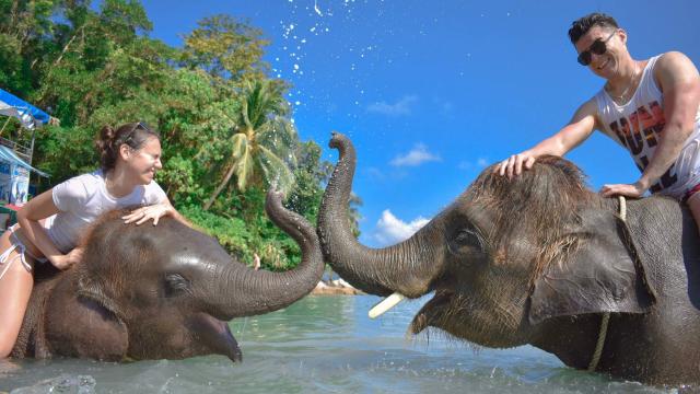 Elephant Swim at Lucky Beach | Thailand