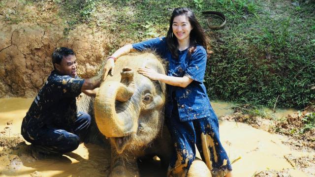 Elephant Care Experience: Feeding, Bathing & Mud Spa in Phuket | Thailand